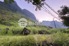 Mảnh đất nhỏ tại vân đồn thích hợp đầu tư đón sóng quy hoạch khu vực sân bay