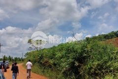 Bán đất thổ cư, lộc quảng, giá còn mềm.dt 12x37 lh 0966.047.768, xem đất