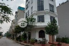 Siêu hoa hậu,tđc bắc phú cát lô góc 50m 12mmt siêu kd giá chỉ 2,5ty