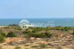 Bán 2500m2 sổ đỏ chính chủ tại thôn hàm liêm. đường vô tận đất. lh tôi có zalo