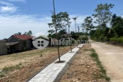 Cần chuyển nhượng lô 2 mặt tiềndãy 2 quốc lộ 1achỉ 7xx 0971599589