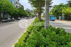 Siêu phẩm trần vỹ, gara, 55m, giá 9.6 tỷ