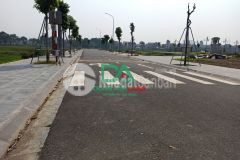 Bán đất đấu giá x2 thái bình mai lâm đông anh đường 10m