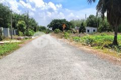 Chính chủ bán đất thổ cư đường nhựa 589 triệu hết đất ngay chợ ninh điền