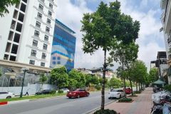 Mặt phố hồng tiến long biên lô góc 235m2 mt30m dòng tiền hơn 3tỷnăm chỉ 135tỷ.