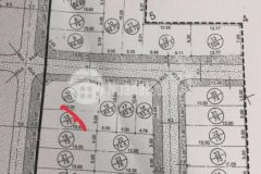 Bán đất đấu giá x1 mai hiên mai lâm đông anh