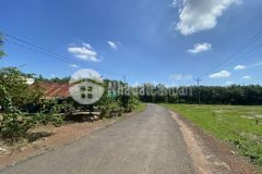 Nhượng nhanh 280m2 có 100m thổ cư ngay lộc thịnh lộc ninh sổ sẵn chà là lộc thịnh, cách ubnd lộc