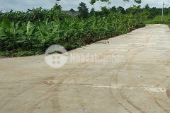 Với chỉ 1 tỷ có ngay 1 vườn sổ riêng