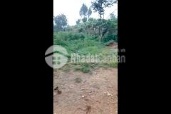 Cắt lỗ mảnh đất hơn 2000m2 tại phan cán sử nơi săn mây đẹp nhất y tý