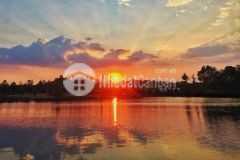 Sở hữu ngay lô đất mặt tiền cách thác đambri 400m, giá mềm sổ đỏ riêng. lh 0966.047.768