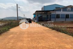 Chính chủ cần bán lô đất ven đà lạt. giá tốt nhất khu vực. sổ riêng. lh0833732741