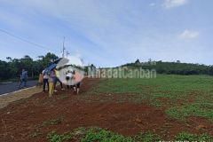 Bán lô góc 2 mặt tiền đường biệt thự nghỉ dưỡng bảo lộc lâm đồng, 320m2 chỉ 6trm2.