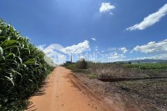 Đất suối thông b, đạ ròn, đơn dương 7x25 qh full thổ cư giá 820tr