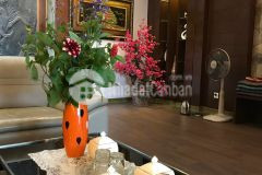 Phân lô phố huỳnh thúc kháng 50m2 x 5t, lô góc, oto, hai mặt tiền, kinh doanh, chỉ 16 tỷ