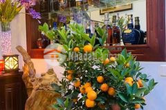 Bán nhà riêng tại đường hoàng công chất