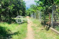 Bán đất diên lâm giá rẻ đầu tư hoặc làm vườn