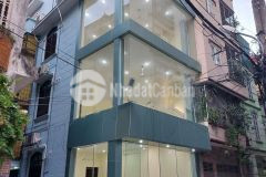 Đỉnh bán nhà hoàng quốc việt, lô góc ngã tư, kinh doanh, gara oto 65m2x4t giá 11.9 tỷ