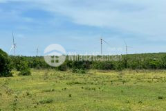 Bán đất cạnh công viên safari, gần ql1a và đường nối cao tốc bình thuận.lh hoặc add zalo ạ