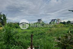 Giá đầu tư quận 12 bán đất sổ hồng riêng 411m2 an phú đông giá 4.3 tỷ