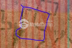 Bán đất huyện bắc bình bình thuận 4 mẫu 9 giá hạt dẻ