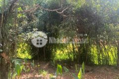 Cần chuyển nhượng lô đất mặt tiền nguyễn thiếp phường yên đỗ pleiku