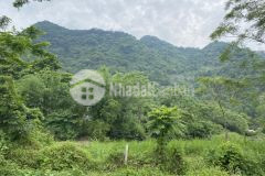 Bán gấp siêu phẩm bám suối có dt 1413m2 cách đường 12b có 50m