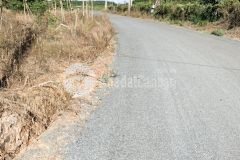 Gia đình cần tiền bán đất bưng riềng giá chốt trong 10 ngày 2.8 tỷ cho 1028,2 m2.