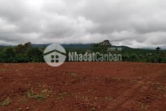 Đất thổ cư đồi mơ,vị trí cao, thoáng mát, trong lành,tầm nhìn rộng,không hạn chế,giá giai đoạn đầu t