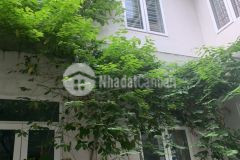 Bán biệt thự ngay 603 lạc long quân tây hồ hà nội. 218m x 3 tầng, mt 10.5m giá chỉ 17.5 tỷ