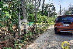 Kiệt hoàng diệu, phường đông thanh, tp đông hà 1xxx