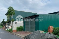 Đất khu đấu giá tứ hiệp, thanh trì 84 mét giá 11,5 tỷ lh 0886644228