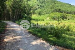 Chính chủ bán đất vườn khánh đông phù hợp làm vươn