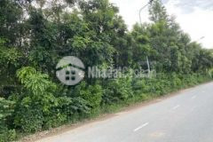 Đất đẹp toàn là mặt tiền