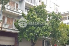 Lô góc mặt phố kinh doanh sầm uất thang máy 65m2 5tầng 11.8tỷ trương định