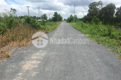 9,1công mặt tiền huyện lộ 42,hưng thạnh,tân phước,tiền giang