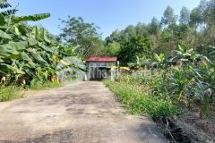 Cần bán lô đất có diện tích rộng khoảng 5000m2 tại trung tâm thành phố việt trì ngay sát đền hùng