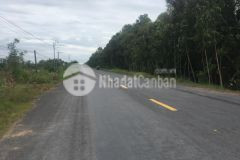 2hecta mặt tiền tỉnh lộ 867,thị trấn mỹ phước,tân phước,tiền giang