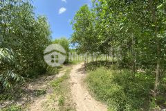 Đất bds tân xuân hàm tân 200m mặt tiền 8,4 sào giá chỉ 345 triệusào giá cực tốt