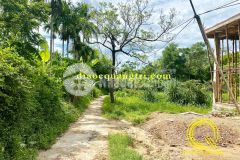 Mua bán đất thành phố đông hà khu phố 1 phường 4 gía đầu tư