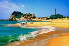 8500m2 đất thị trấn, 2 mặt tiền đường hiện hữu sổ hồng riêng, quy hoạch onl nhanh chóng