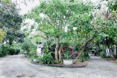 Gấp gấp chính chủ biệt thự cần bán lại căn nhà tọa lạc tại trung tâm thành phố việt trì phú thọ