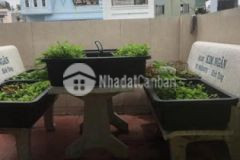 Nhà quận 4 ko quy hoạch giá tốt