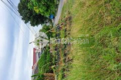 Đất mặt tiền nguyễn thị minh khai 20x57