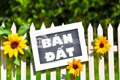 Bán đất đường lê ngọc hân,phường 1, thành phố vũng tàu trong khu biệt thự an bình