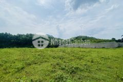 Siêu phẩm 3065m2 trong đó có 800m2 thổ cư, bám suối giá chỉ 2,x tỷ x tiểu học