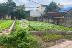 Phố ga 57m mt 4.1m 2.32 tỷ trung tâm thị trấn thường tín thông số đẹp