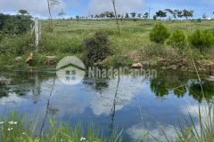 300m2 ful thổ view hồ 700tr ngay đambri