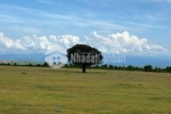 Bán lô đất hồng thái gần đường liên huyện, kênh nước, 5240m2, chỉ 810 triệu, shr