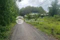 Bán gấp đất 141m2 giá 480tr ở gò dầu