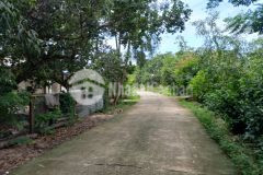 Đất bds thôn đá mài 1 tân xuân hàm tân 6084m thổ cư 200m 2,7 tỷ lô 2 ql 55